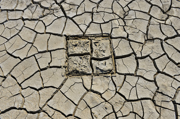 The parched soil