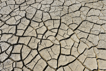 The parched soil
