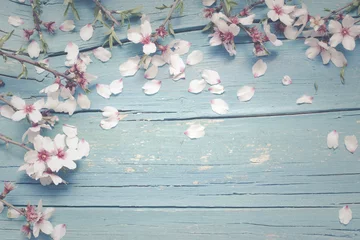 Fotobehang Zen Blue wooden background with almond flowers  © creadorimatges