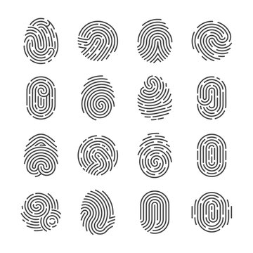 Fingerprint detailed icons. Police scanner thumb vector symbols. Identity person security id pictograms