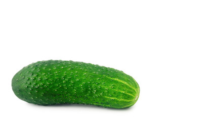 appetizing green cucumber isolated on a white background, health food. copy space, template.