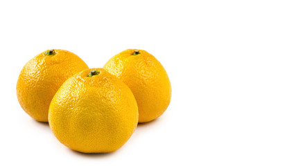 three orange mandarin isolated on white background. copy space, template.