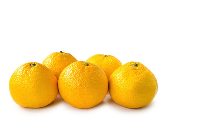 five orange mandarin isolated on white background. copy space, template.