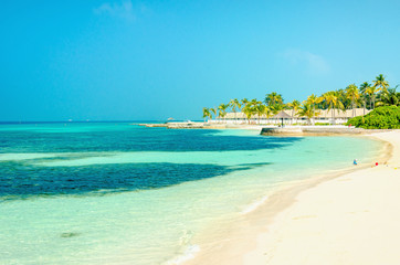 Fototapeta na wymiar Beautiful paradise beach with tall palm trees and blue sky