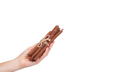 cinnamon stick spice in hand isolated on white background. copy space, template