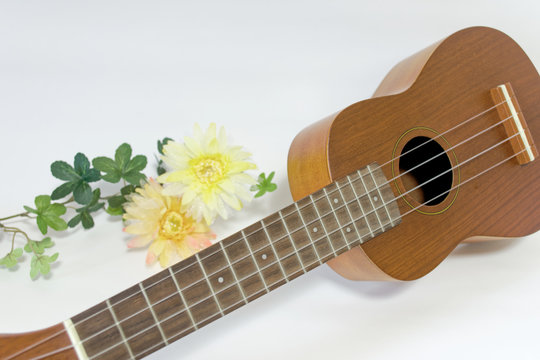ウクレレと花