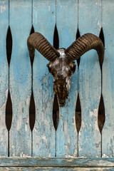 The skull of an animal with large horns mounted on a worn-out wooden fence