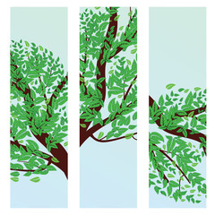 Banner with green leaves on branch