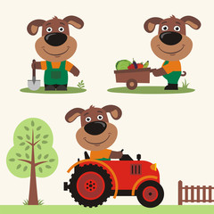 Set of funny puppy dog farmer with shovel, with wheelbarrow with vegetables, in farm tractor. Collection of puppy dog is working on the farm. - 199096011