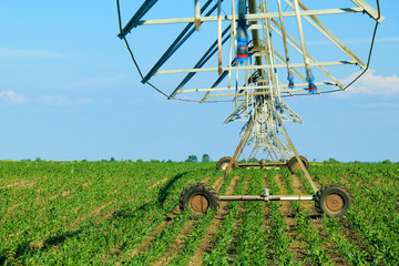 Crop Irrigation using the center pivot sprinkler system