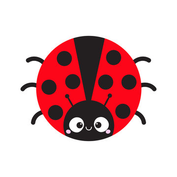 Cute cartoon lady bug round icon. Cute cartoon funny character. Smiling face. White background. Isolated. Baby illustration. Flat design.
