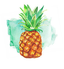 Pineapple and colorful splash on a white background. Watercolor