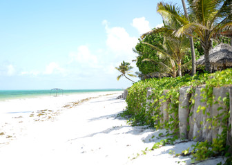 Obraz premium Strand Urlaub im Paradies Hochzeitsreise, Sansibar, Afrika