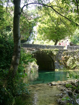 Naturaleza En Estado Puro