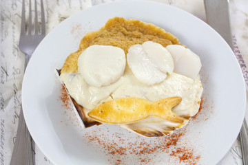coquille saint-jacques