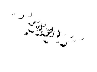 Bats - Halloween Design. Horror Background for Stickers, T-shorts and other