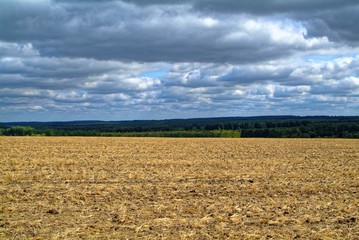 Sloping field in autumn in Russia