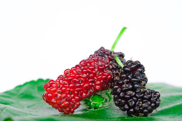 Close up fresh mulberry.