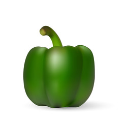 Green bell pepper. The whole vegetable. Vector.