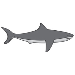 Sea or ocean predator. Underwater big white a shark, fish with fins and gills. In flat style of gray color a vector. A concept an icon for the websites or mobile applications. Linear art.