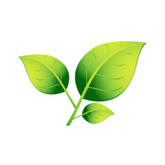A plant with three green leaves on a white background. EPS 10.