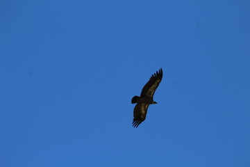 Fototapeta na wymiar Paseo aéreo