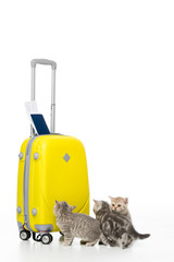 three adorable kittens near yellow suitcase with passport and ticket isolated on white