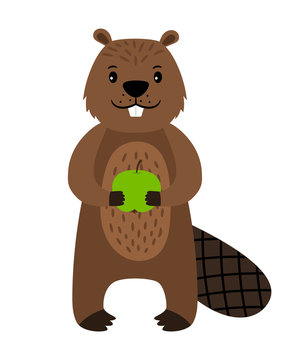 Beaver. Vector cartoon beaver character isolated