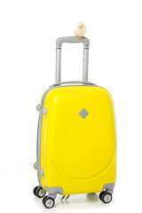 adorable little chicken sitting on handle of suitcase isolated on white