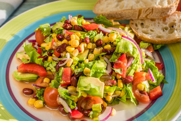 Traditional Vegetarian American Southwest Salad on a plate