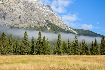 Canadian Rockies, covered by green forest and morning mist