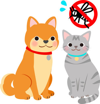 ペットの犬、猫と蚊対策のイメージ