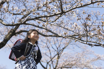 Fototapeta na wymiar 新一年生の女の子　桜背景