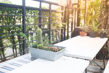 Home or outdoor cafe garden with sunlight