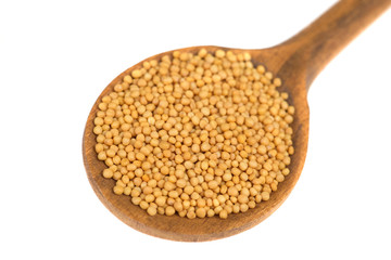 Mustard seeds