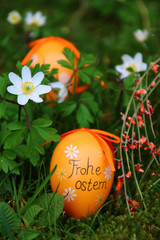 frohe ostern