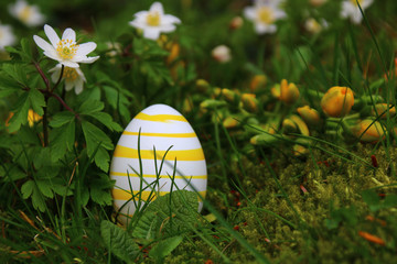 ein osterei im garten
