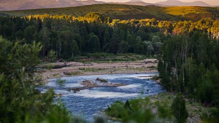 Mountain river and forest trees on the sunset, Altai Mountains, Kazakhstan