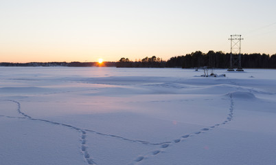 Sunset on a wintry landscape. Animal tracks on the snow.