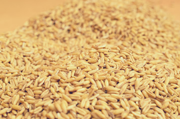 Grains of ripe cereal crops.