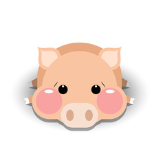 Cute pig cartoon, vector illustration