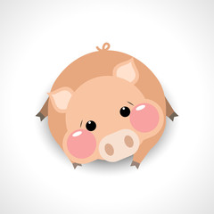 Cute pig cartoon, vector illustration