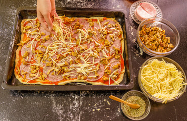 Preparing homemade pizza with cheese,salami and mushrooms