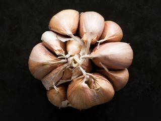 Close up of whole garlic bulb, top view.