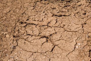 Cracks the drought in Spain's dry fields. Mud barren.