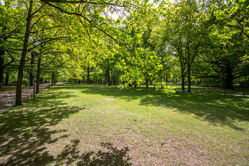 Fototapeta na wymiar Tiergarten in Berlin, Germany