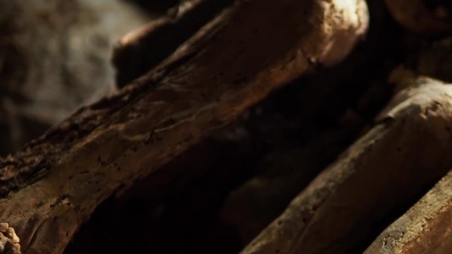 Ancient Ibaloi fire mummy in Kabayan, northern Luzon, Philippines. The famous Ibaloi mummies were made from as early as 2000 BC and can be found in caves along the mountain slopes of Kabayan.