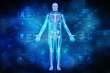 2d illustration Human Male Muscle Body
