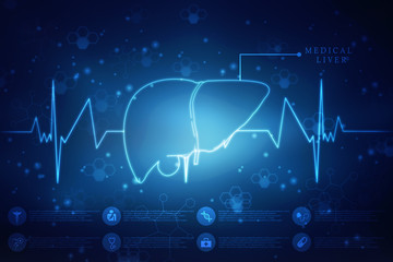 Realistic human liver 2d illustration
