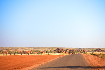 Landscape of The Devil's Marbles in the outback of the Northern Territory in Australia